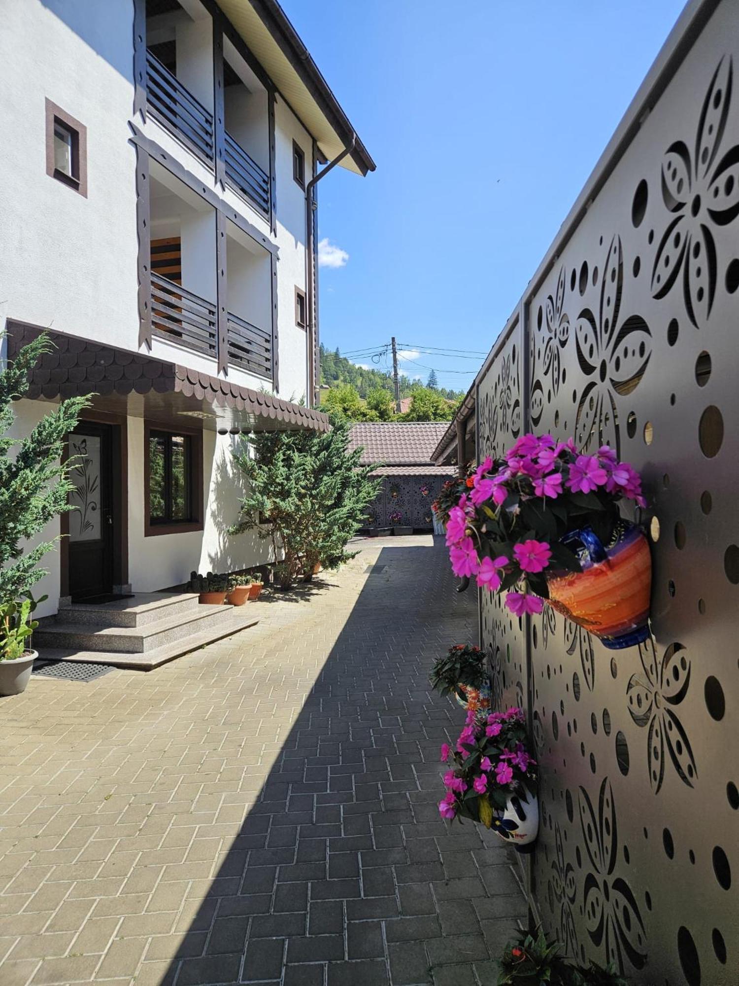 Pensiunea Orizont Farcasa Exterior photo
